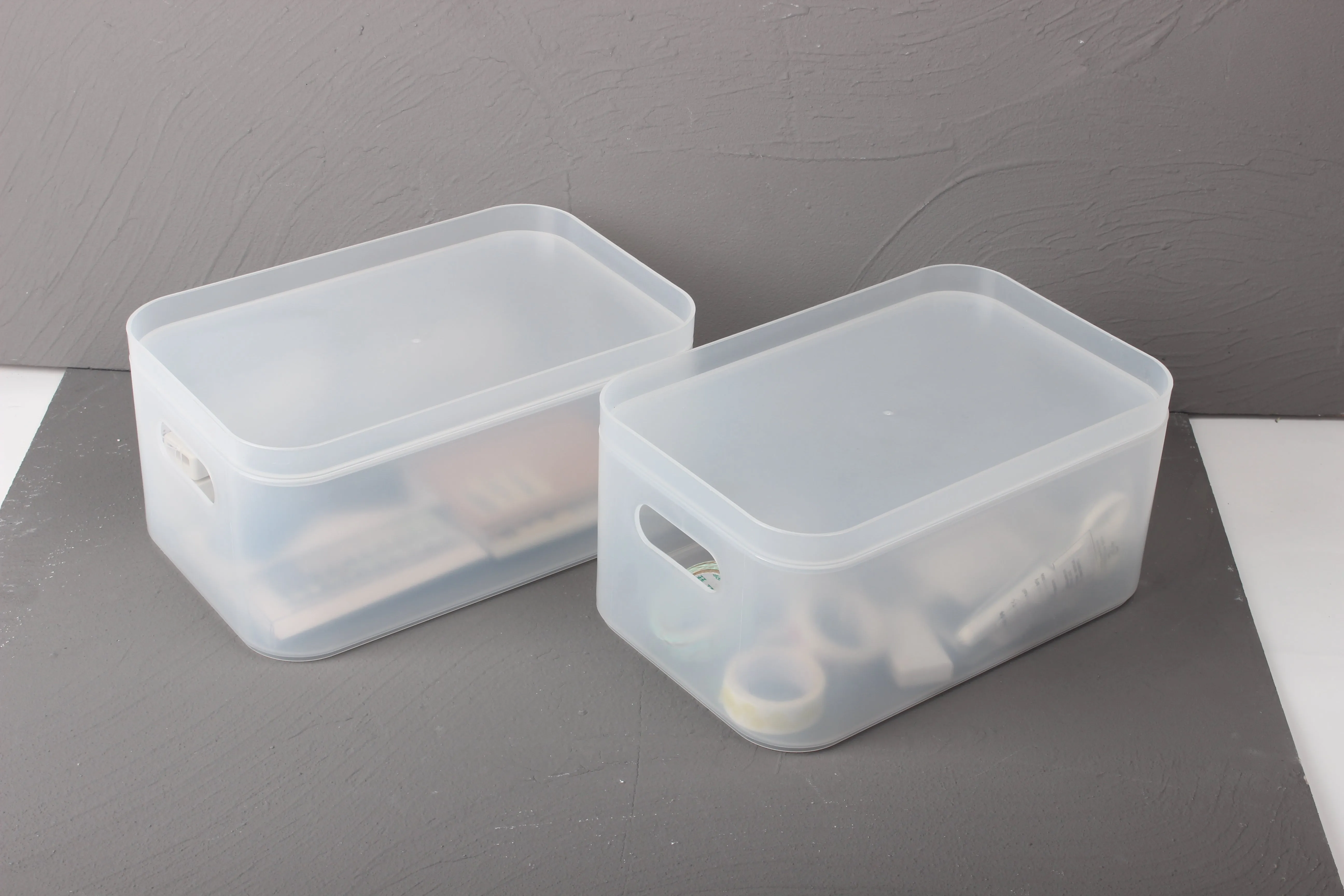 Storage Organizer Bin Frosted Set with Lids (2 Pack)